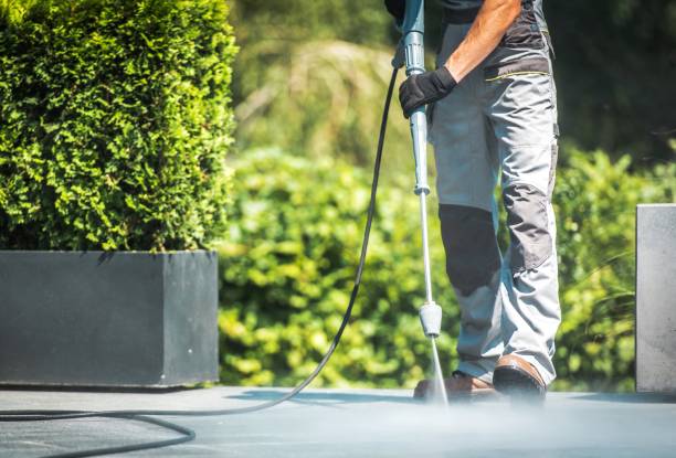 Best Driveway Pressure Washing  in Rpinteria, CA